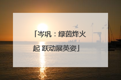 岑巩：绿茵烽火起 跃动展英姿