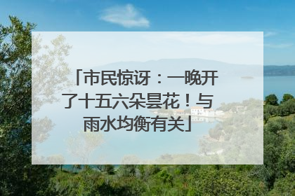 市民惊讶：一晚开了十五六朵昙花！与雨水均衡有关