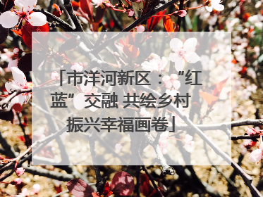 市洋河新区：“红蓝”交融 共绘乡村振兴幸福画卷
