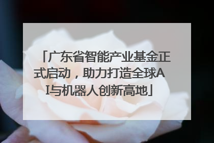 广东省智能产业基金正式启动，助力打造全球AI与机器人创新高地