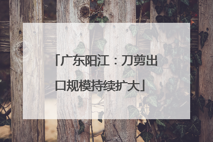 广东阳江：刀剪出口规模持续扩大