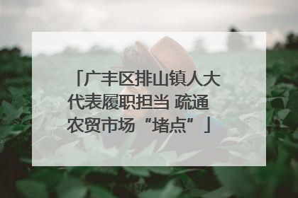广丰区排山镇人大代表履职担当 疏通农贸市场“堵点”