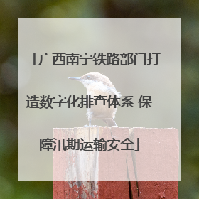 广西南宁铁路部门打造数字化排查体系 保障汛期运输安全
