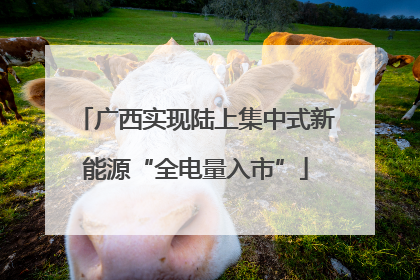 广西实现陆上集中式新能源“全电量入市”
