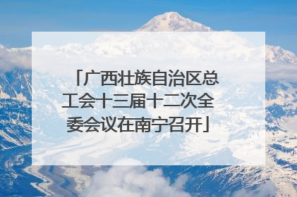 广西壮族自治区总工会十三届十二次全委会议在南宁召开