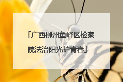 广西柳州鱼峰区检察院法治阳光护青春
