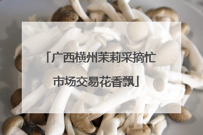 广西横州茉莉采摘忙 市场交易花香飘
