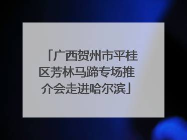 广西贺州市平桂区芳林马蹄专场推介会走进哈尔滨