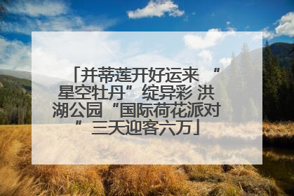 并蒂莲开好运来 “星空牡丹”绽异彩 洪湖公园“国际荷花派对”三天迎客六万