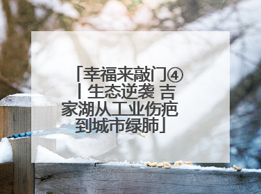 幸福来敲门④丨生态逆袭 吉家湖从工业伤疤到城市绿肺