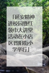 延安精神进校园暨红领巾大讲堂活动在小店区晋阳街小学举行