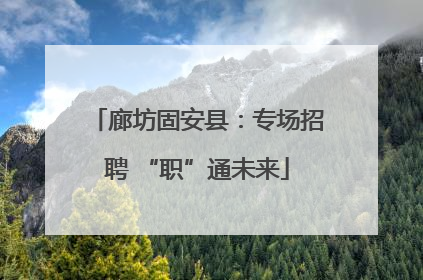廊坊固安县：专场招聘 “职”通未来