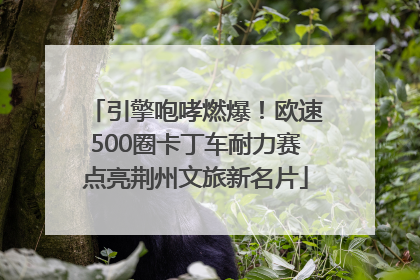 引擎咆哮燃爆！欧速500圈卡丁车耐力赛点亮荆州文旅新名片