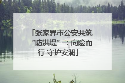张家界市公安共筑“防洪堤”：向险而行 守护安澜