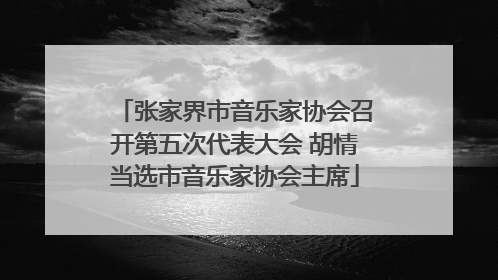 张家界市音乐家协会召开第五次代表大会 胡情当选市音乐家协会主席