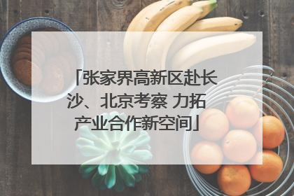 张家界高新区赴长沙、北京考察 力拓产业合作新空间