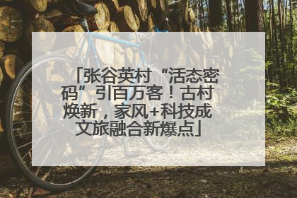 张谷英村“活态密码”引百万客！古村焕新，家风+科技成文旅融合新爆点