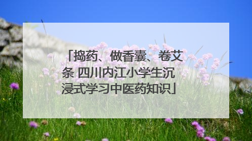 捣药、做香囊、卷艾条 四川内江小学生沉浸式学习中医药知识