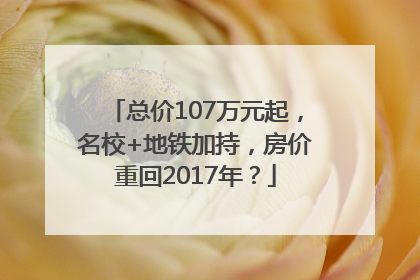 总价107万元起，名校+地铁加持，房价重回2017年？