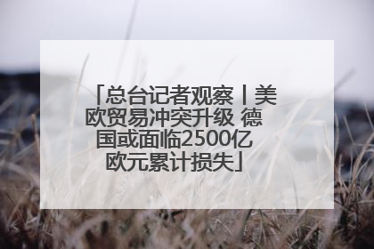 总台记者观察丨美欧贸易冲突升级 德国或面临2500亿欧元累计损失