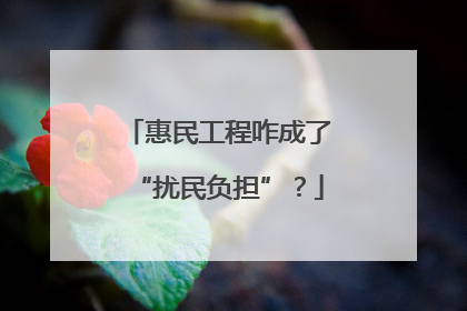 惠民工程咋成了“扰民负担”？