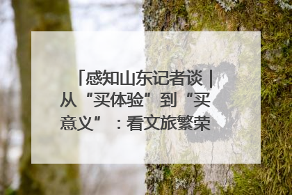 感知山东记者谈｜从“买体验”到“买意义”：看文旅繁荣背后的幸福新定义