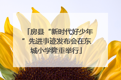 房县“新时代好少年”先进事迹发布会在东城小学隆重举行