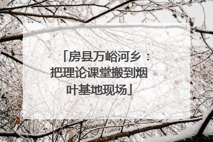房县万峪河乡：把理论课堂搬到烟叶基地现场