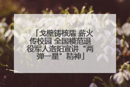 戈壁铸核盾 薪火传校园 全国模范退役军人洛阳宣讲“两弹一星”精神