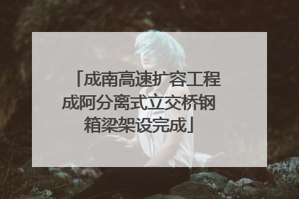 成南高速扩容工程成阿分离式立交桥钢箱梁架设完成