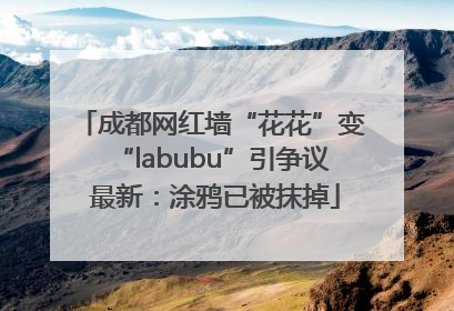 成都网红墙“花花”变“labubu”引争议 最新：涂鸦已被抹掉
