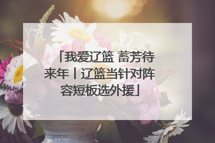 我爱辽篮 蓄芳待来年丨辽篮当针对阵容短板选外援