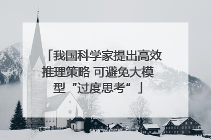 我国科学家提出高效推理策略 可避免大模型“过度思考”