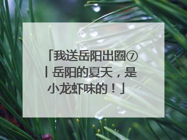 我送岳阳出圈⑦丨岳阳的夏天，是小龙虾味的！