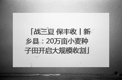 战三夏 保丰收丨新乡县：20万亩小麦种子田开启大规模收割
