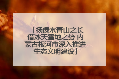 扬绿水青山之长 借冰天雪地之势 内蒙古根河市深入推进生态文明建设