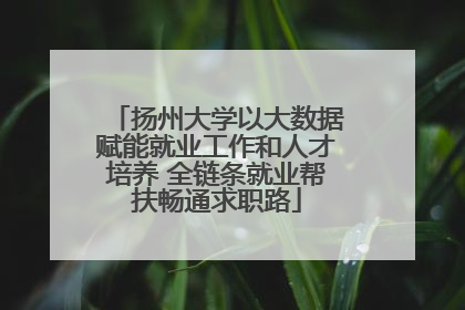 扬州大学以大数据赋能就业工作和人才培养 全链条就业帮扶畅通求职路