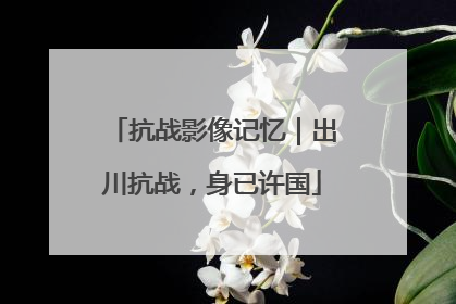 抗战影像记忆｜出川抗战，身已许国