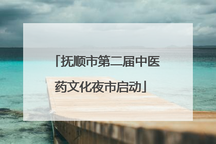 抚顺市第二届中医药文化夜市启动