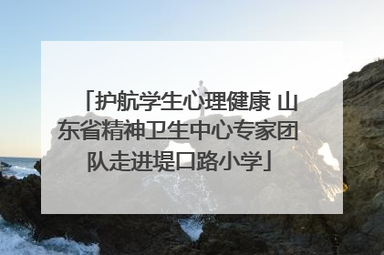护航学生心理健康 山东省精神卫生中心专家团队走进堤口路小学