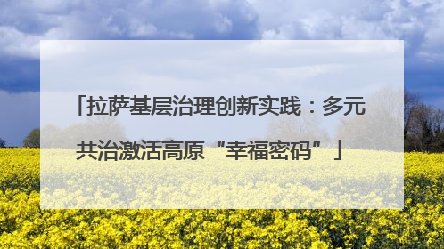 拉萨基层治理创新实践：多元共治激活高原“幸福密码”