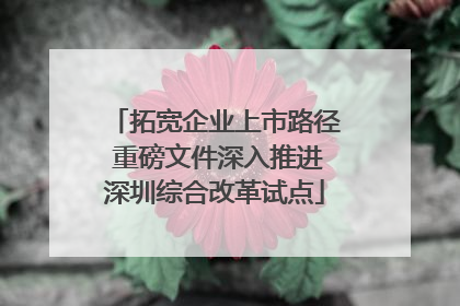 拓宽企业上市路径 重磅文件深入推进深圳综合改革试点