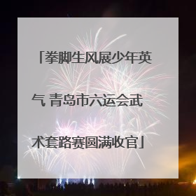 拳脚生风展少年英气 青岛市六运会武术套路赛圆满收官