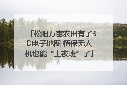 松阳万亩农田有了3D电子地图 植保无人机也能“上夜班”了