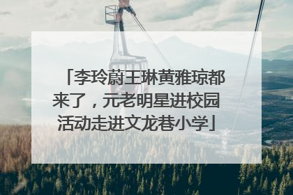 李玲蔚王琳黄雅琼都来了，元老明星进校园活动走进文龙巷小学