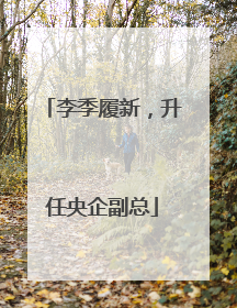 李季履新，升任央企副总