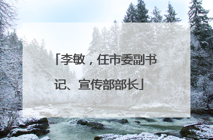 李敏，任市委副书记、宣传部部长