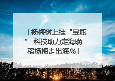 杨梅树上挂“宝瓶” 科技助力定海晚稻杨梅走出海岛