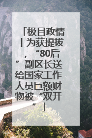 极目政情丨为获提拔，“80后”副区长送给国家工作人员巨额财物被“双开”