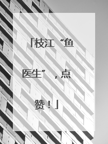 枝江“鱼医生”，点赞！
